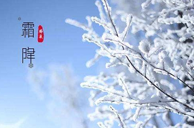 葉落草枯，秋晚凝霜