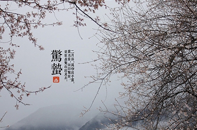 春雷起，驚蟄出